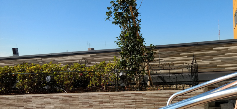 屋上
